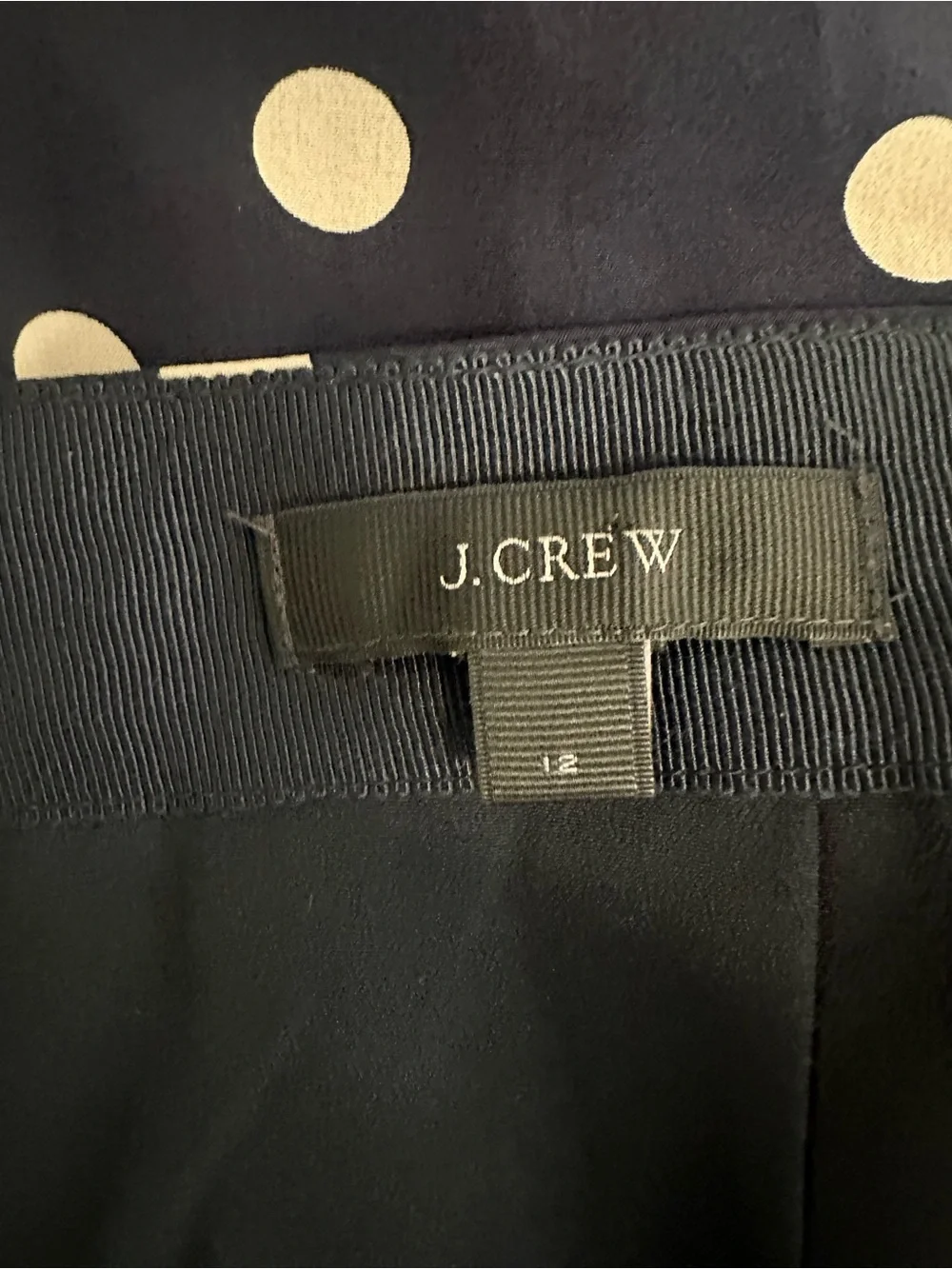 J. Crew Women’s pleated Navy Polka Dot Skirt